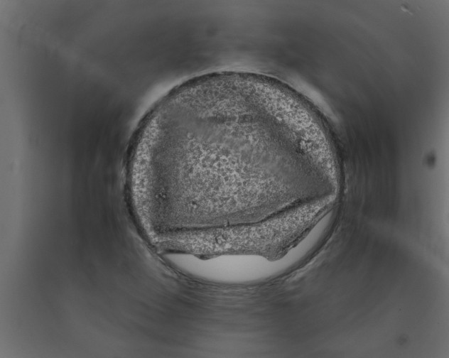 X0000090861264200708241851