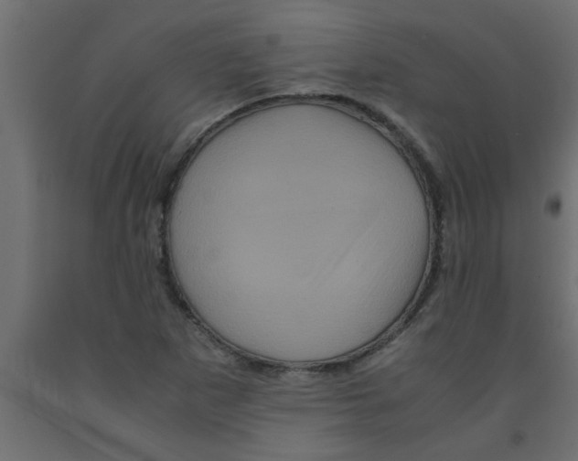 X0000090861265200708241851