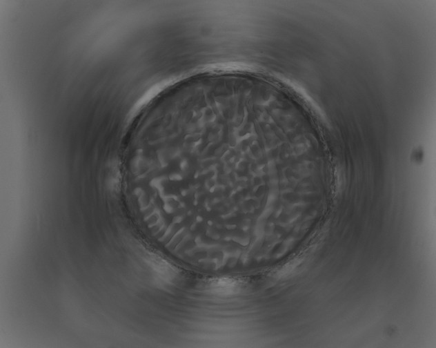 X0000090861266200708241851