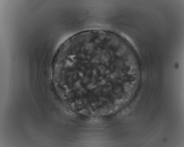 X0000090861267200708241851
