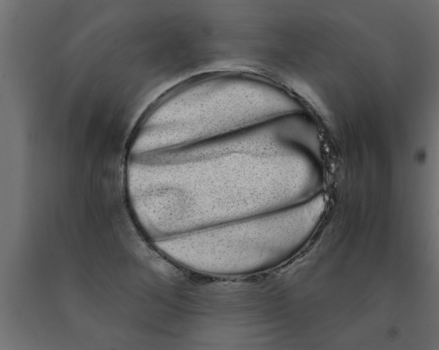 X0000090861268200708241851