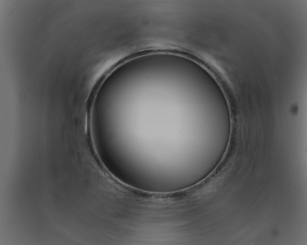 X0000090861269200708241851