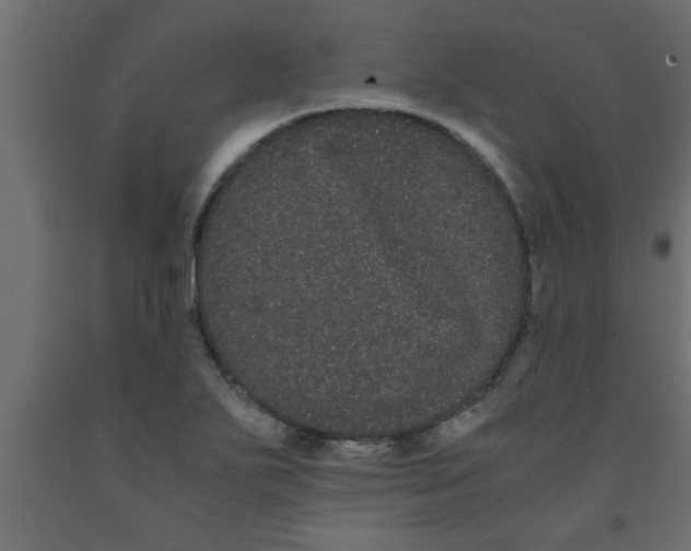 X0000090861271200708241851