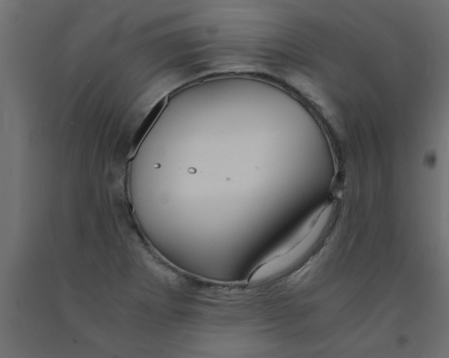 X0000090861273200708241850