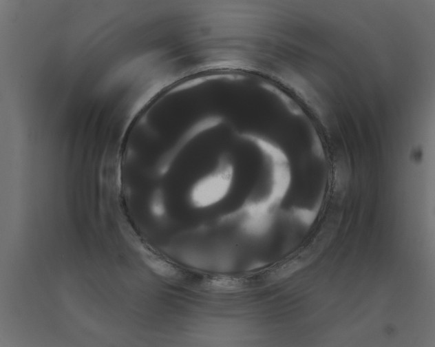 X0000090861274200708241850