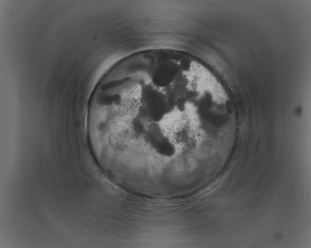 X0000090861275200708241850