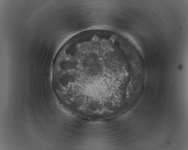 X0000090861276200708241850