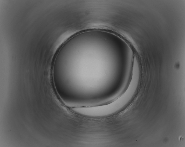 X0000090861277200708241850
