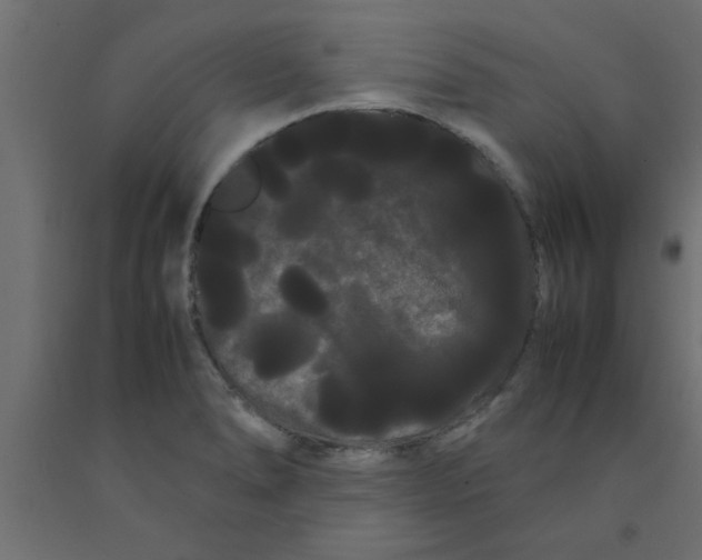 X0000090861278200708241850