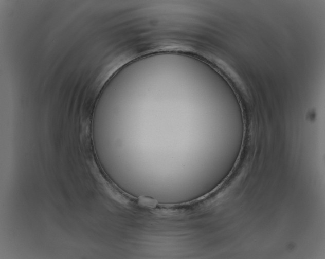 X0000090861281200708241850