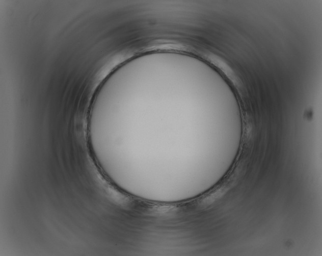 X0000090861282200708241850