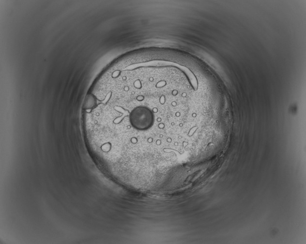 X0000090861283200708241850