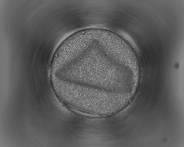 X0000090861284200708241850