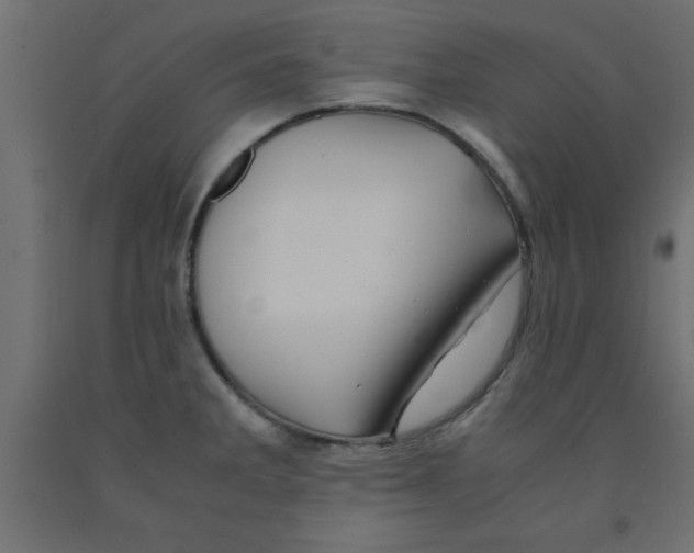 X0000090861285200708241850