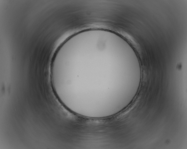 X0000090861286200708241850