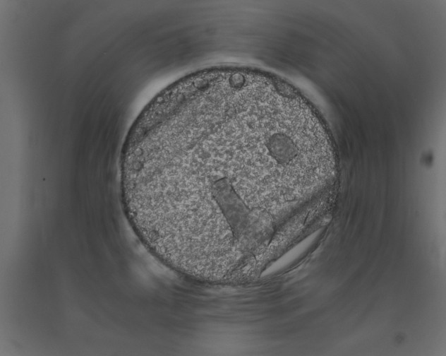 X0000090861287200708241850