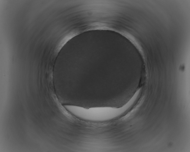 X0000090861289200708241850