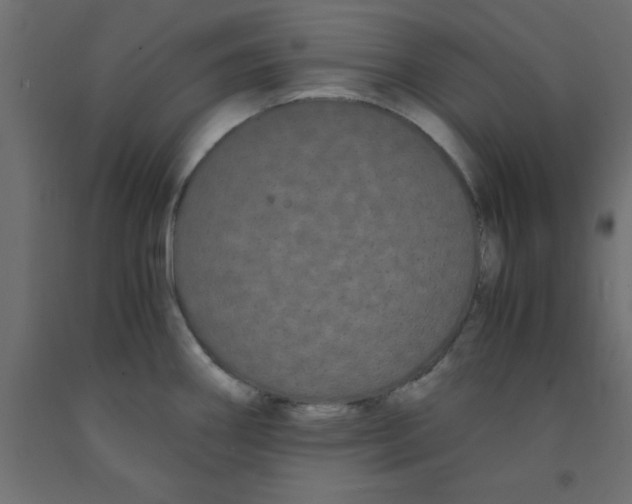 X0000090861290200708241850