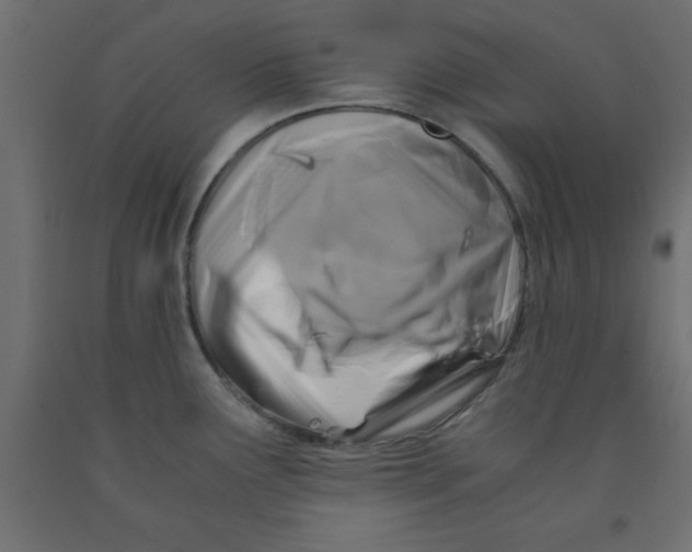 X0000090861291200708241850