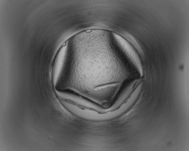 X0000090861292200708241850