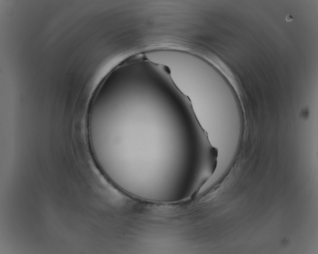 X0000090861293200708241850
