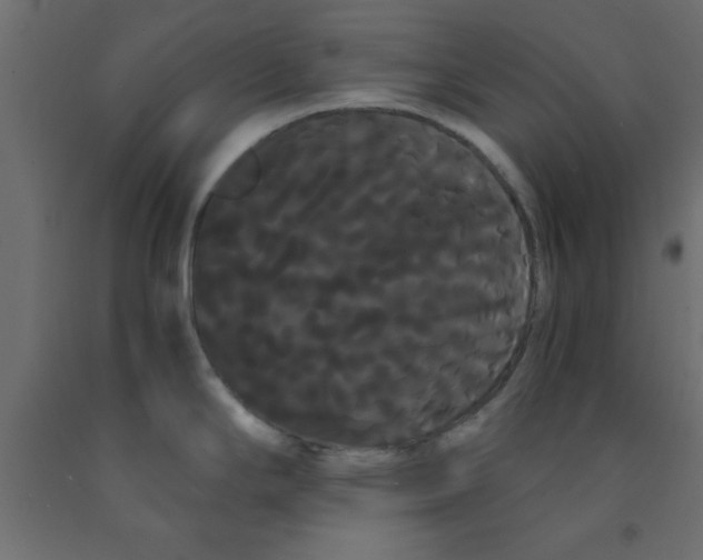 X0000090861294200708241850