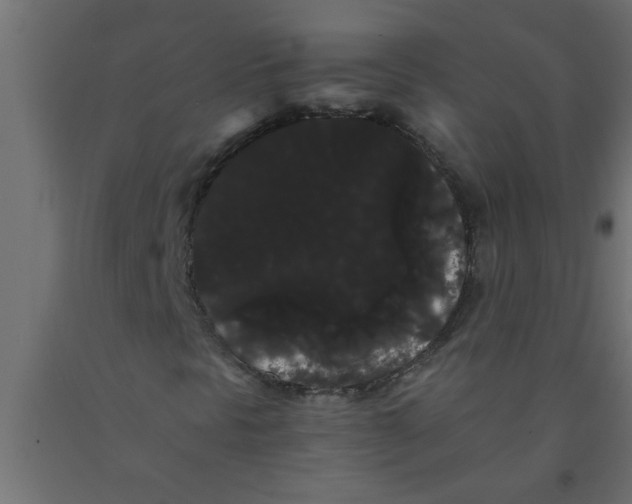 X0000090861297200708241850