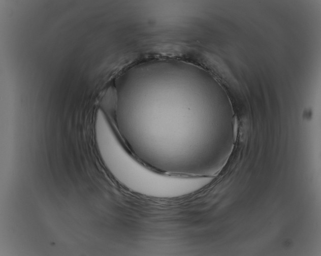 X0000090861298200708241850