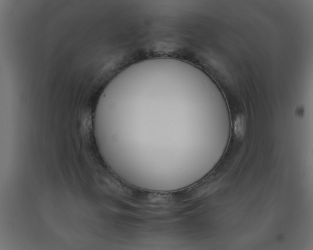 X0000090861299200708241850