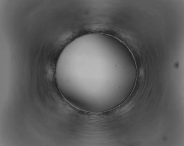X0000090861300200708241850