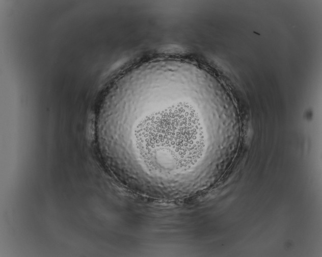 X0000090861301200708241850