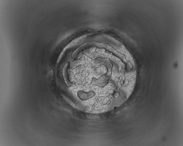 X0000090861302200708241850