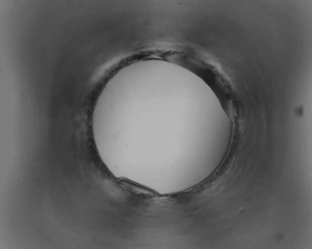 X0000090861304200708241850