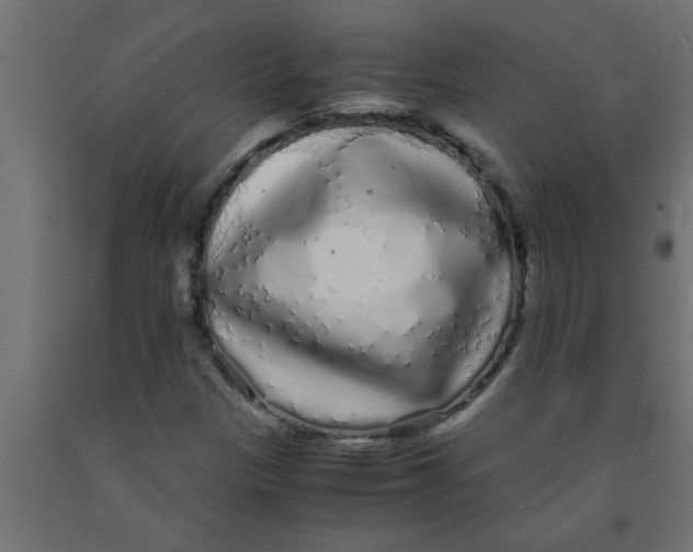 X0000090861305200708241850
