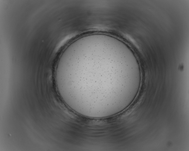 X0000090861307200708241850