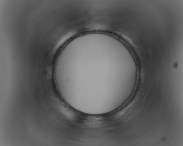 X0000090861309200708241850