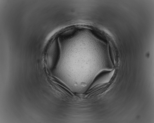 X0000090861310200708241850