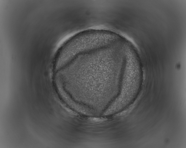 X0000090861311200708241850