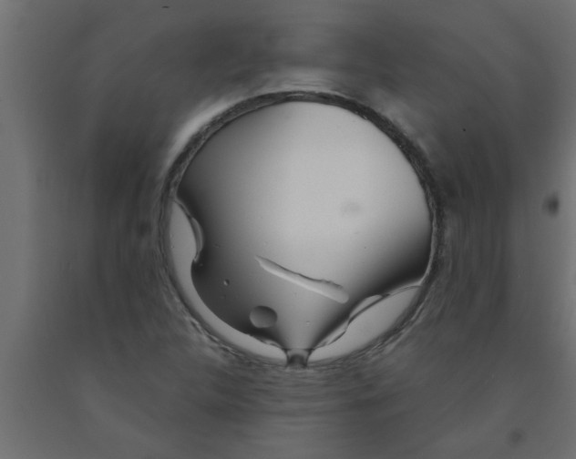 X0000090861312200708241850