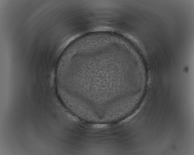 X0000090861313200708241850