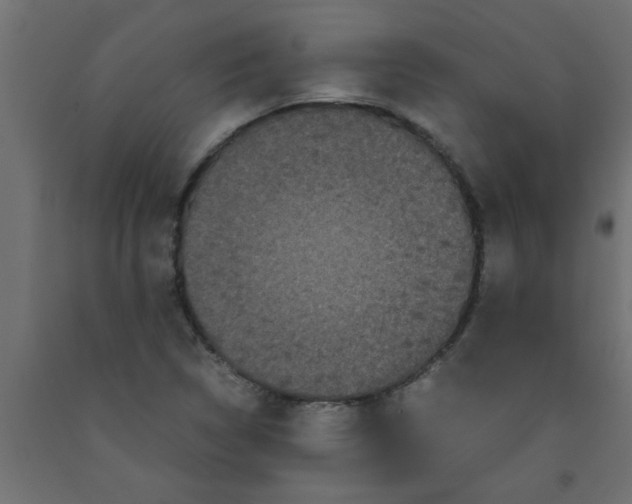 X0000090861314200708241850