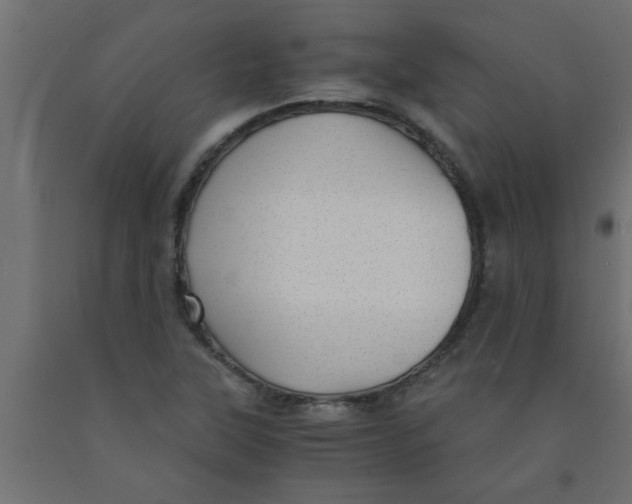X0000090861315200708241850
