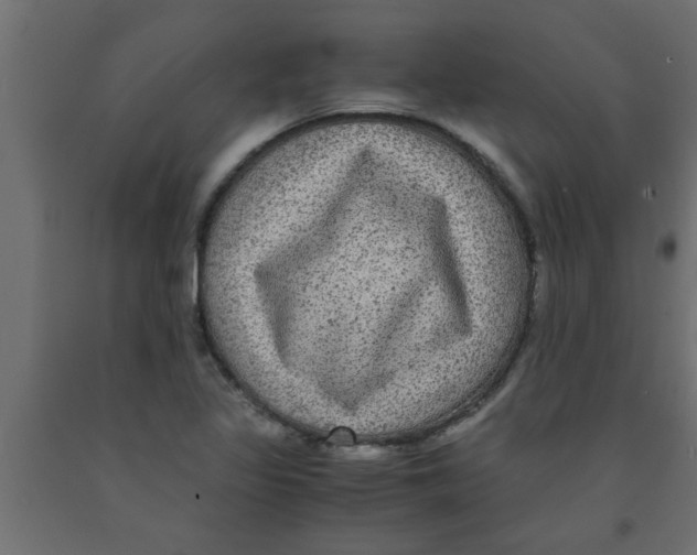 X0000090861317200708241850