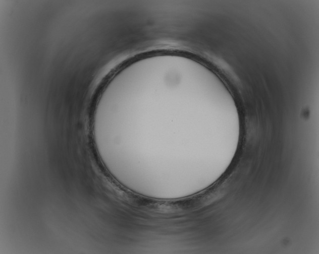 X0000090861318200708241850