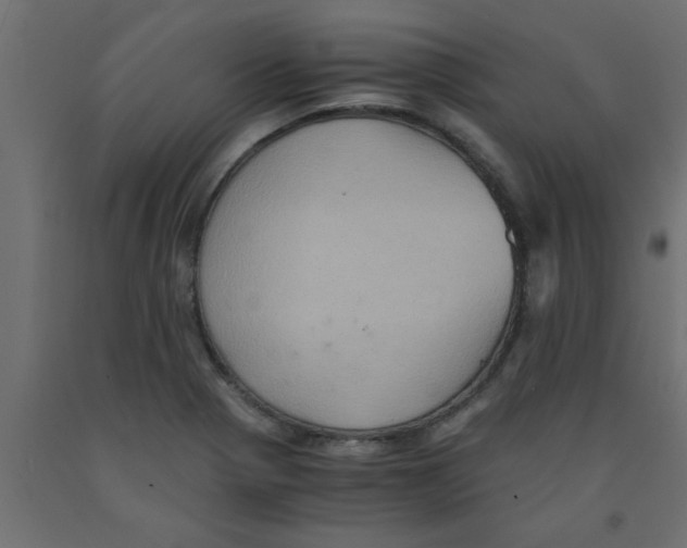 X0000090861321200708241850