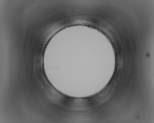 X0000090861322200708241850