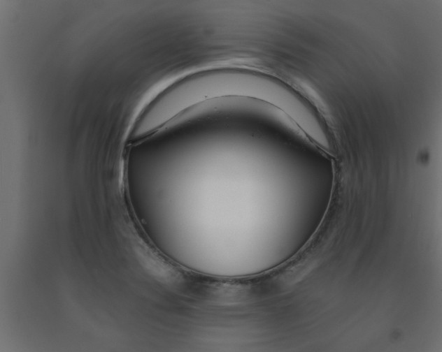 X0000090861324200708241850