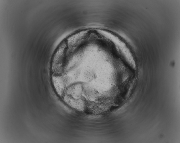 X0000090861325200708241850