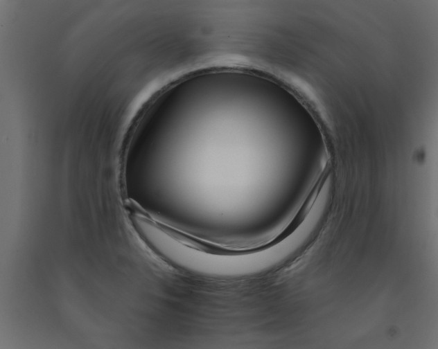 X0000090861326200708241850