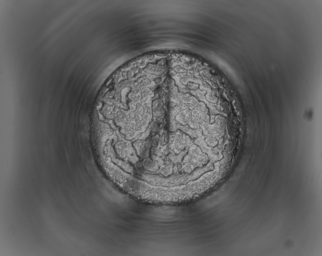 X0000090861329200708241850